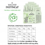 Wellfed InstinCat S.O.B. Baby & Young Chicken & Whole Sheep Milk 300gr Super Premium Τροφές 